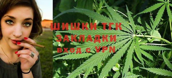 тгк Богданович